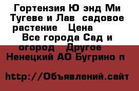 Гортензия Ю энд Ми Тугеве и Лав, садовое растение › Цена ­ 550 - Все города Сад и огород » Другое   . Ненецкий АО,Бугрино п.